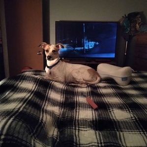 Meet your Posher, Carol